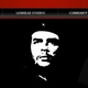 Illustration for article titled Lionhead Teases Impending News with Che's Head?